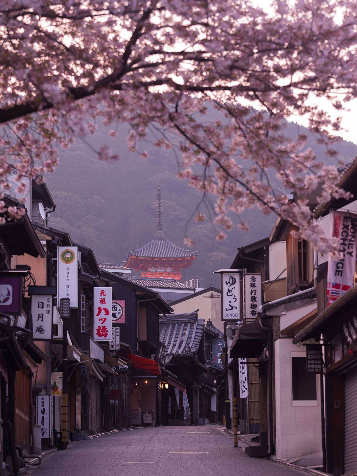 風景写真カメラマン京都