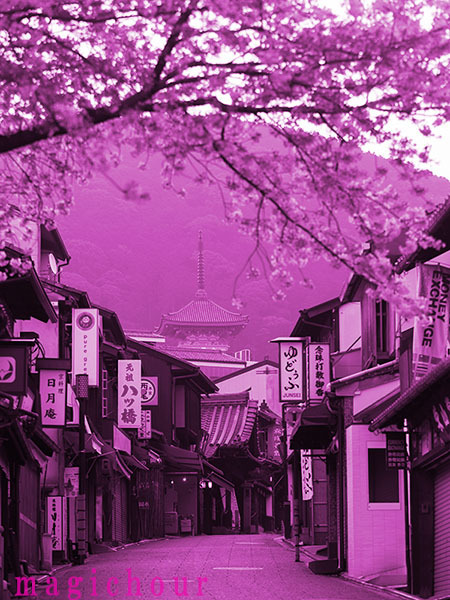 風景写真プロカメラマン