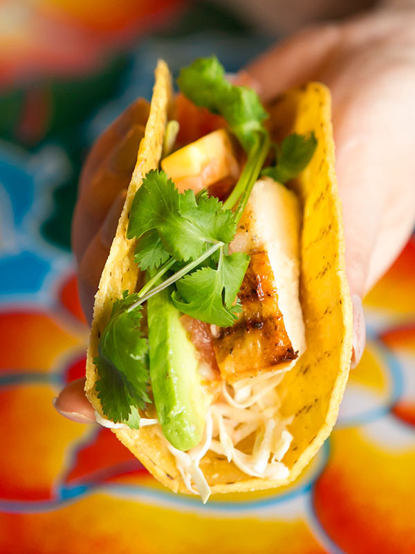 フードカメラマン