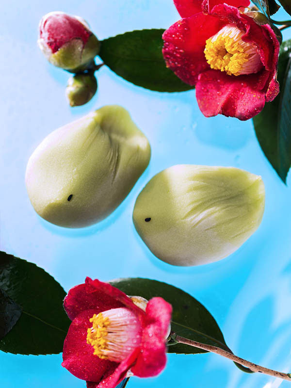 フードカメラマン